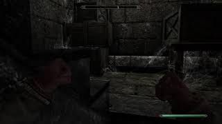 Im Playing Skyrim Join Me As I Try To Platinum This [upl. by Waring37]