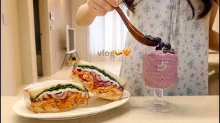 vlog  🥪 혼자사는 자취생의 24시간 마트에서 장보고 🦞 매콤한 해물찜 칠리소스 듬뿍 들어간 샌드위치 만들고 도시락 싸는 자취생 일상 휴일엔 제육볶음 물회 마카롱 [upl. by Aire]