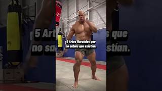 Conocías estas artes marciales🤔 Suscribanse para más contenido artesmarciales mma parati fypシ゚ [upl. by Allisan]