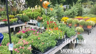 Tea Thyme With Maya Shopping For the Tea Garden Durham Garden Center Vlog April 2024 [upl. by Nostaw661]