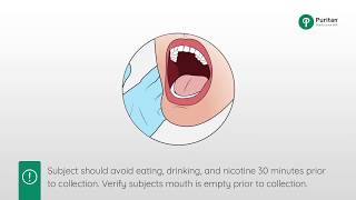 How to Collect a Buccal Swab Sample [upl. by Lenee]