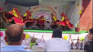 Mera Daman gotedar Haryanvi group dance [upl. by Gilud]