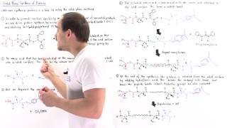 SolidPhase Synthesis of Proteins [upl. by Lleraj279]