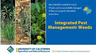 Weeds  An Integrated Pest Management Strategy for Success [upl. by Esinaj]