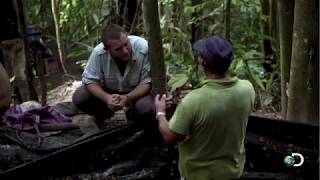 AMAZÔNIA PROIBIDA  NA FRONTEIRA DO TRÁFICOO VALE DA COCAÍNA [upl. by Singhal817]