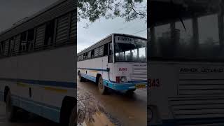 Aana vandi aanavandi malayalam love movie wayanad ksrtc kerala palastine bus nature [upl. by Aicad]