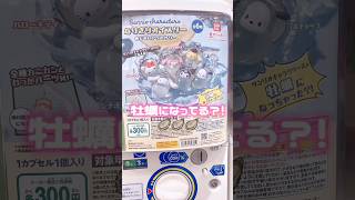 バブみすごすぎ！？なりきりオイスター😂sanrio kuromi mymelody gacha ガチャ [upl. by Johanan]