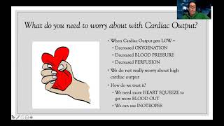 Complex Hemodynamics [upl. by Llerdnod]