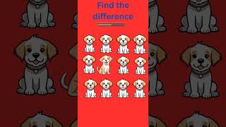 Find the difference  subscribe if you like dog  Its Quiz Time  subscribe like [upl. by Einnaj]