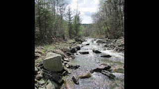 quotThe Old Homesteadquot 107 Acres Middleburgh NY  Adjoining state land  Cabin  Riverfront [upl. by Ttenneb477]