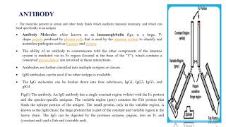 Serology Part5th stage Lecture 1introduction to serology DrEman Tariq Ali [upl. by Weibel755]