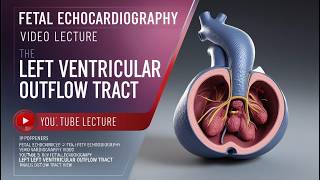 Fetal Echocardiography Left Ventricular Outflow Tract View [upl. by Petes]