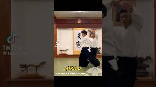 Aikido master amazing skills martial arts extreme stunts hapkido karate Kung Fu wushu weak points [upl. by Pegeen]