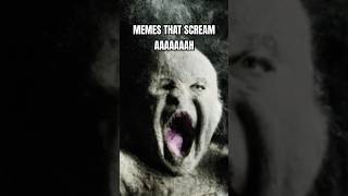 Memes that scream AAAAAAH meme memes [upl. by Ellswerth]