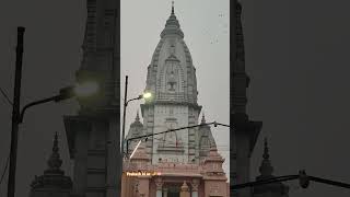 Vishwanath Temple Varanasi BHU devotion love shiva naturedevotion nature om VTBHU viral [upl. by Ynatsyd]