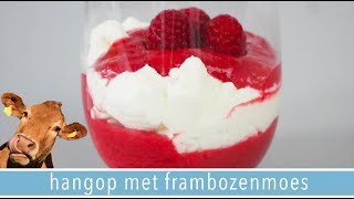 🍧Hangop maken met gezonde frambozenmoes  RENSKE VISSER GEWICHTSCONSULENT [upl. by Sidoma]