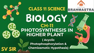 LEC 4  PHOTOSYNTHESIS  Acyclic Photophosphorylation amp Chemiosmotic Hypothesis [upl. by Ronyam]