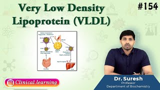 154 Very Low Density Lipoprotein VLDL [upl. by Icart]