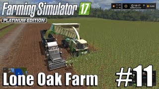 Farming Simulator 17  Lone Oak farm  Timelapse  11  Corn Silage [upl. by Berenice40]