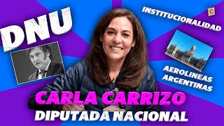 ¿Porque es importante MEJORES DNUS para una MEJOR DEMOCRACIACarla Carrizo Diputada Nacional UCR [upl. by Roderigo362]