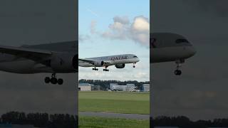 AIRBUS A350941 QATAR AIRWAYS DOHA TO AMSTERDAM LANDING SCHIPHOL AIRPORT  PLANE SPOTTING  A7ALM [upl. by Cirtemed]