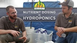 Nutrient Dosing in Hydroponics Systems [upl. by Alvita]