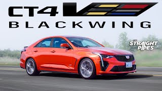 BUY THIS CAR NOW 2023 Cadillac CT4V Blackwing Review [upl. by Adnovahs]