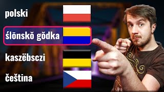 Silesian Dialect  Can Czech Kashubian and Polish understand it  1 [upl. by Renick]