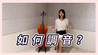 初學常見問題大提琴該如何調音❓ [upl. by Harp]