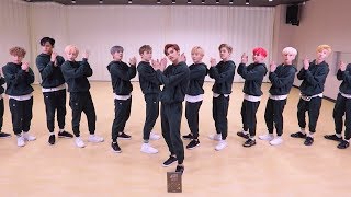 SEVENTEEN 세븐틴  박수 CLAP Dance Practice Mirrored [upl. by Aneahs497]