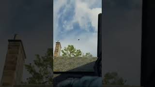 Anotha one bo6 blackops6 gaming gameplay [upl. by Pearman943]