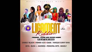 Ligament Riddim MixJuly 2019 MultiTalented Music [upl. by Nhoj589]