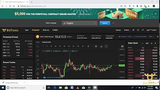 MARGIN TRADING IN BITFOREX EXCHANGE [upl. by Eeluj]