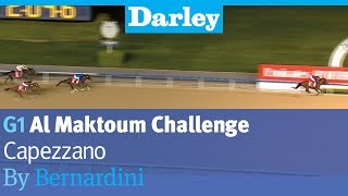 Capezzano by Bernardini wins the G1 Al Maktoum Challenge R3 at Meydan [upl. by Queenie408]