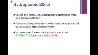 009Hydrophobic Effect amp Its Consequences [upl. by Yelime]