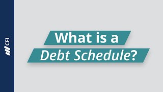 What is a Debt Schedule [upl. by Bernelle684]