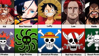 Pirate Crews and their Captains in One Piece [upl. by Lai699]