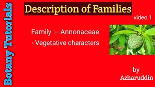 Annonaceae family vegetative characterspart1 [upl. by Micaela]