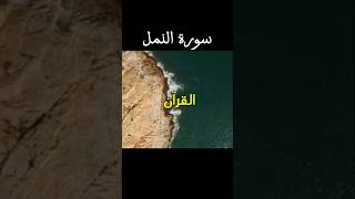 Al Quran Surah Namal ayat 914 allah quran qurantranslation shorts [upl. by Ettedanreb]