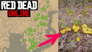 Chantarelas Localización  Red Dead Redemption 2 Online  Desafíos Diarios [upl. by Arjun]