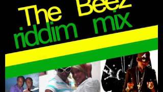 THE BEEZ RIDDIM MIX dec 2009 [upl. by Ehling]