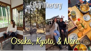 Japan Travel Vlog  Osaka🐙 Kyoto🍵 amp Nara🦌  Itinerary amp Hidden Gems Traveling with 7 People [upl. by Merp]