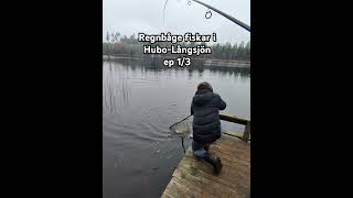 Regnbåge fiskar i HuboLångsjön 19102024 ep 13 [upl. by Atinor]