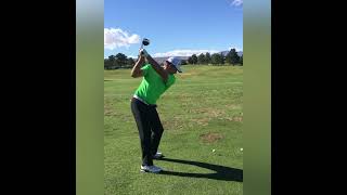 Retief Goosen  Driver DL [upl. by Jarietta]