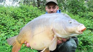 STARBAITS présente Courville sur Eure par Loic Aubert et nature 27 bouillette sk30 layers z [upl. by Yebba271]