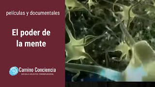 El PODER de la MENTE  FÍSICA CUÁNTICA  Camino Conciencia [upl. by Seward]