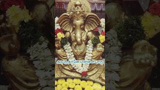 Arugampullil pillaiyar songs in tamil vinayagar songs in tamil pillaiyar songs tamil vinayagar [upl. by Malchus]