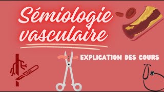 semiologie vasculaire  explication facile [upl. by Nocaed258]