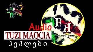 TUZI MAQCIA rap rise  პეპლები  peplebi audio rap rise 2015 [upl. by Ifen640]