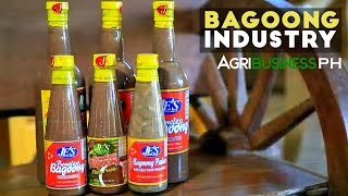 Lingayen Bagoong  Bagoong Industry in the Philippines  Agribusiness Philippines [upl. by Yrahcaz]